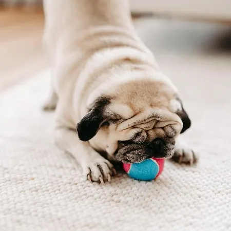 Fjell * 그뢰브밍