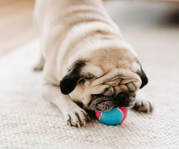 Fjell * Грёбминг